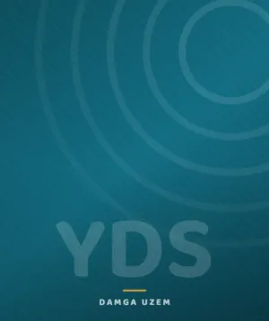 YDS